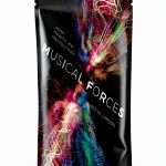 Musical Meaning and Interpretation Kindle eBook Indiana Press-0