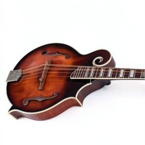 Mandolin Music Appreciation Kindle eBook by Author Name-0
