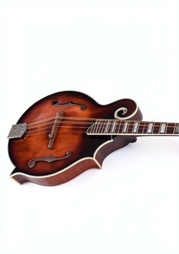 Mandolin Music Appreciation Kindle eBook by Author Name-0