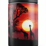 African Poetry Kindle Edition by Reading Time Modern Library eBook-0