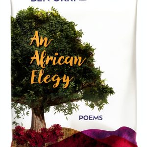African Poetry Kindle eBook by Other Press – 111 Page Collection-0