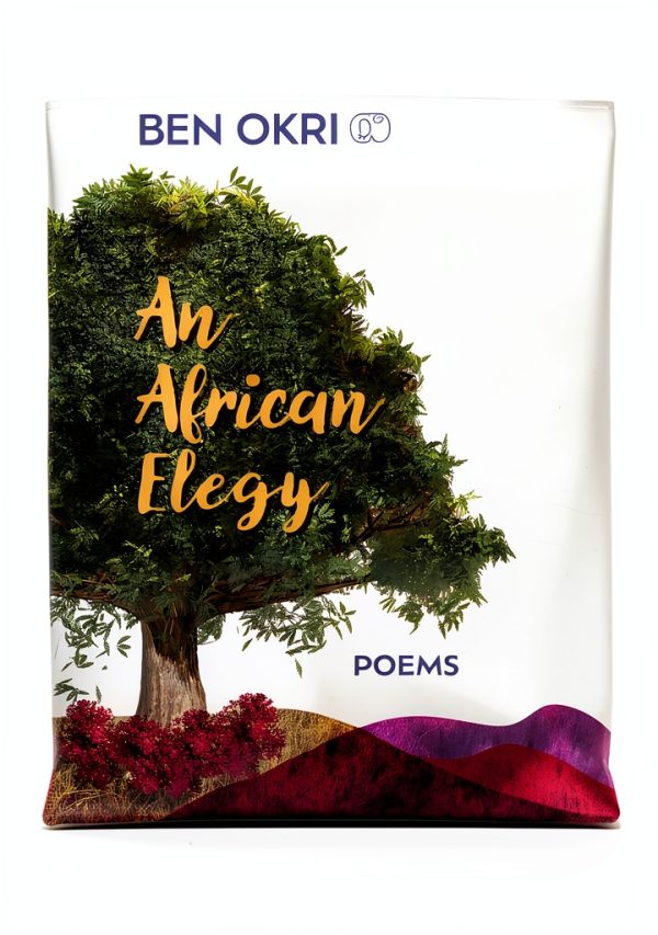 African Poetry Kindle eBook by Other Press – 111 Page Collection-0