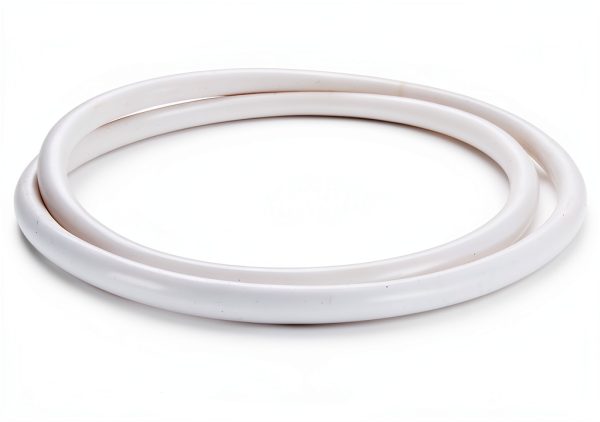 Cambro 12102 Gasket for End Loader-0